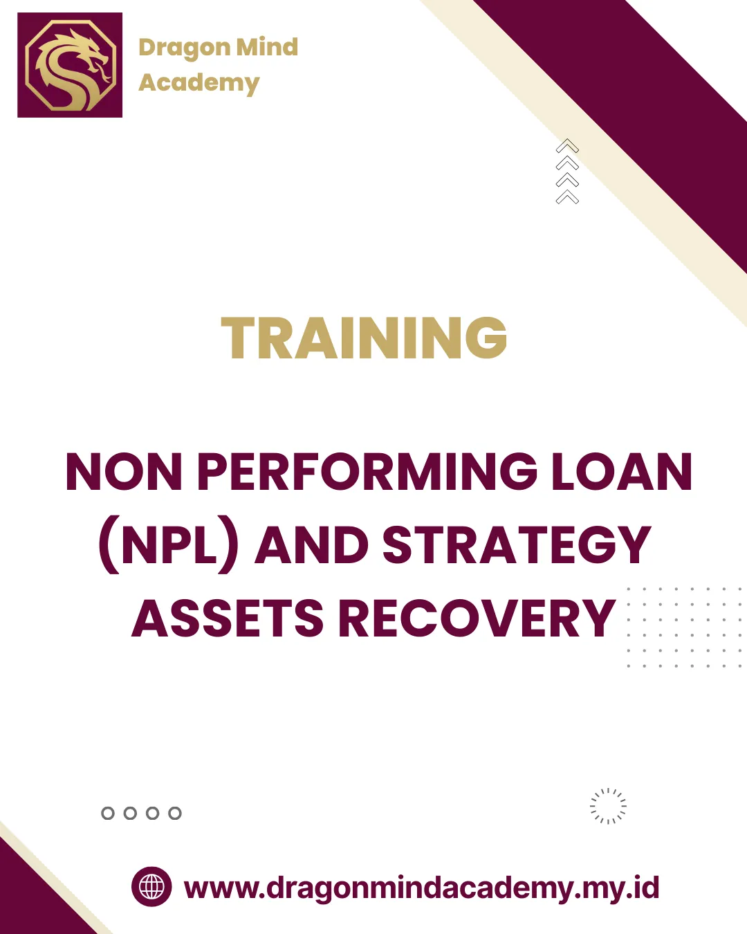 TRAINING NON PERFORMING LOAN (NPL) AND STRATEGY ASSETS RECOVERY